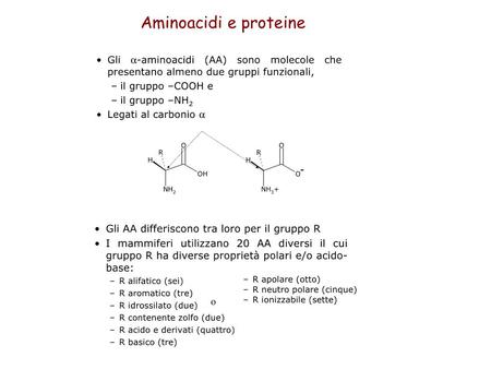 Aminoacidi e proteine.
