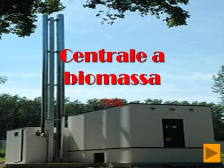 Centrale a biomassa TPSE.