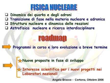 FISICA NUCLEARE roadmap Dinamica dei quarks e degli adroni