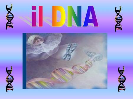 Il DNA.