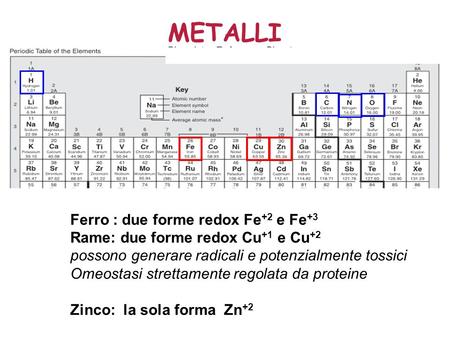 METALLI Ferro : due forme redox Fe+2 e Fe+3