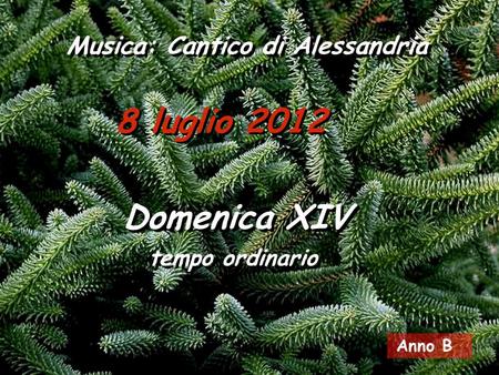 8 luglio 2012 Musica: Cantico di Alessandria Domenica XIV