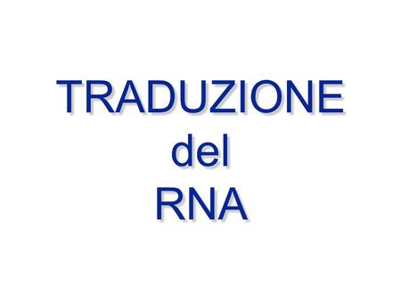 TRADUZIONE del RNA.