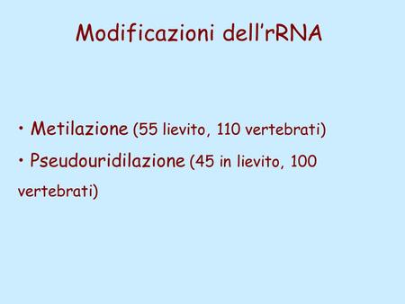 Modificazioni dell’rRNA
