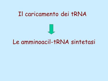 Il caricamento dei tRNA