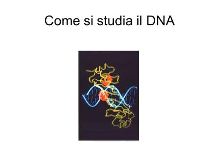 Come si studia il DNA.