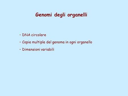 Genomi degli organelli DNA circolare Copie multiple del genoma in ogni organello Dimensioni variabili.