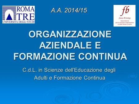 ORGANIZZAZIONE AZIENDALE E FORMAZIONE CONTINUA C.d.L. in Scienze dell’Educazione degli Adulti e Formazione Continua Adulti e Formazione Continua A.A. 2014/15.