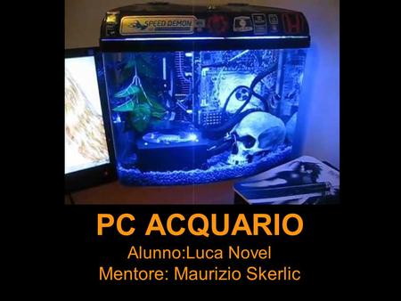 PC ACQUARIO Alunno:Luca Novel Mentore: Maurizio Skerlic