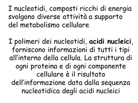 I nucleotidi, composti ricchi di energia svolgono diverse attività a supporto del metabolismo cellulare I polimeri dei nucleotidi, acidi nucleici, forniscono.