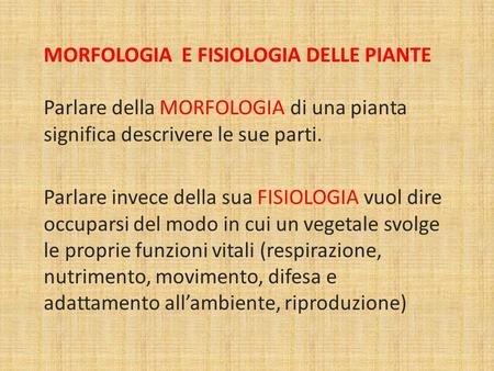 MORFOLOGIA E FISIOLOGIA DELLE PIANTE Parlare della MORFOLOGIA di una pianta significa descrivere le sue parti. Parlare invece della sua FISIOLOGIA vuol.