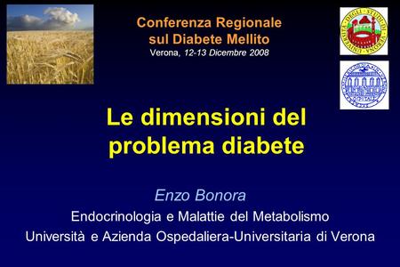 Conferenza Regionale sul Diabete Mellito Verona, Dicembre 2008