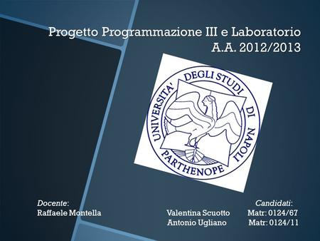 Progetto Programmazione III e Laboratorio A.A. 2012/2013