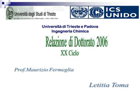 Università di Trieste e Padova Ingegneria Chimica.