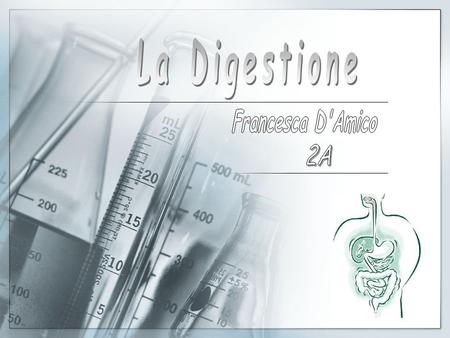 La Digestione Francesca D'Amico 2A.