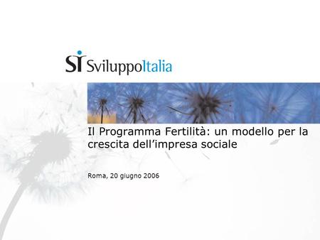 Roma, 20 giugno 2006 Il Programma Fertilità: un modello per la crescita dellimpresa sociale.