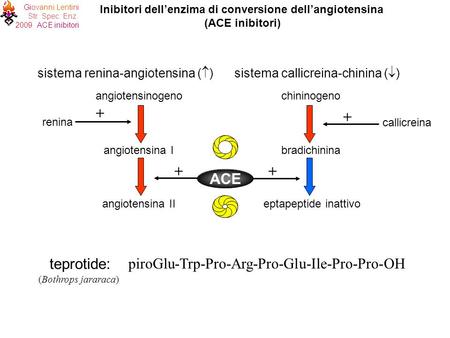 Inibitori dell’enzima di conversione dell’angiotensina