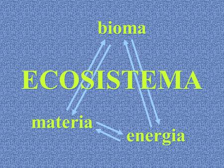 Bioma ECOSISTEMA materia energia.
