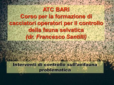 (dr. Francesco Santilli)