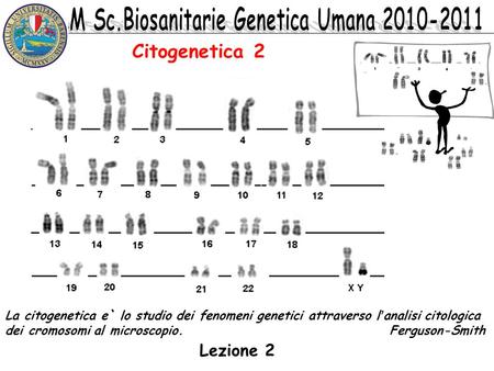 Citogenetica 2 La citogenetica e` lo studio dei fenomeni genetici attraverso l’analisi citologica dei cromosomi al microscopio.