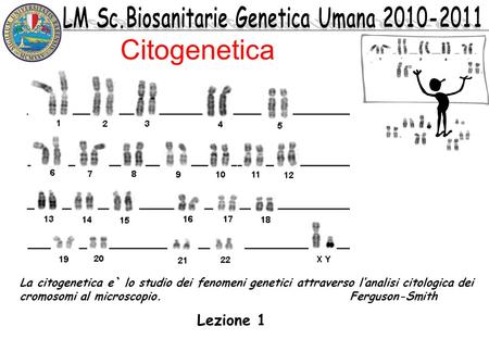 Citogenetica La citogenetica e` lo studio dei fenomeni genetici attraverso l’analisi citologica dei cromosomi al microscopio.