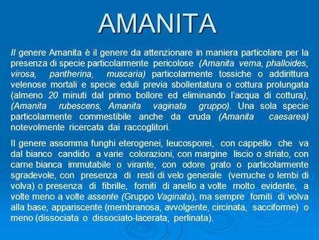 AMANITA Il genere Amanita è il genere da attenzionare in maniera particolare per la presenza di specie particolarmente pericolose (Amanita verna, phalloides,