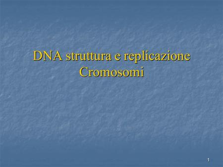 DNA struttura e replicazione Cromosomi