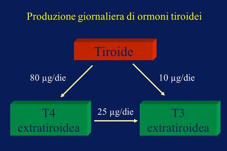 Produzione giornaliera di ormoni tiroidei Tiroide T4 extratiroidea T3 extratiroidea 80 µg/die10 µg/die 25 µg/die.