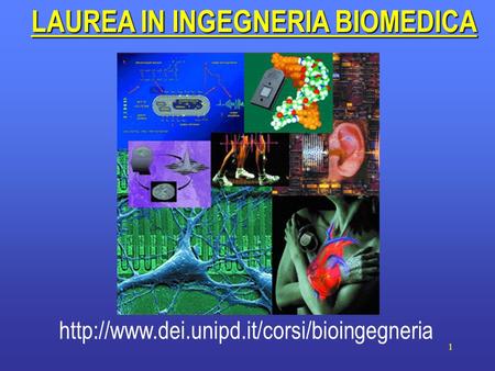 Laurea magistrale ingegneria biomedica milano