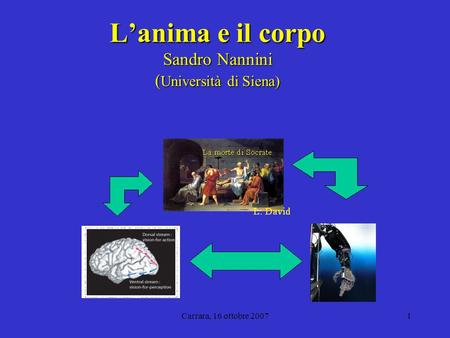 Carrara, 16 ottobre 20071 Lanima e il corpo Sandro Nannini ( Università di Siena)