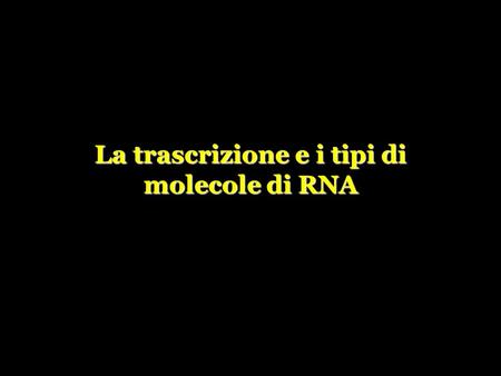La trascrizione e i tipi di molecole di RNA