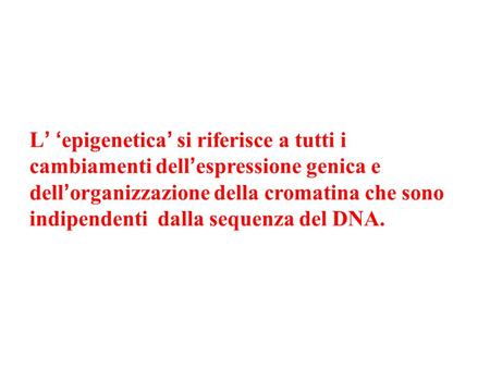 L’ ‘epigenetica’ si riferisce a tutti i cambiamenti dell’espressione genica e dell’organizzazione della cromatina che sono indipendenti dalla sequenza.