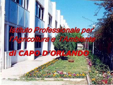 Istituto Professionale per l’Agricoltura e l’Ambiente