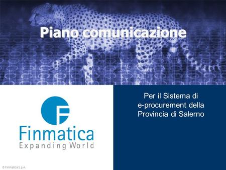 © Finmatica S.p.A. Piano comunicazione Per il Sistema di e-procurement della Provincia di Salerno.