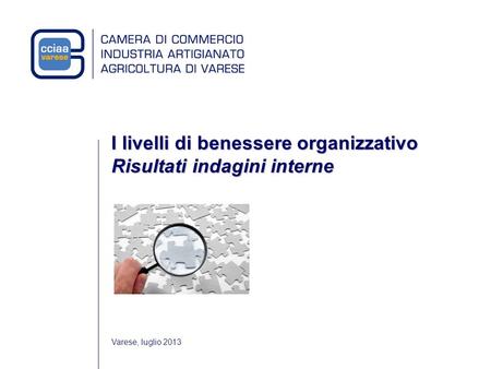 Varese, luglio 2013 I livelli di benessere organizzativo Risultati indagini interne.