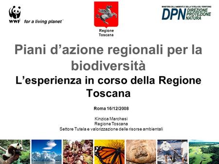 Piani dazione regionali per la biodiversità Lesperienza in corso della Regione Toscana Roma 16/12/2008 Kinzica Marchesi Regione Toscana Settore Tutela.