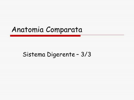 Anatomia Comparata Sistema Digerente – 3/3.