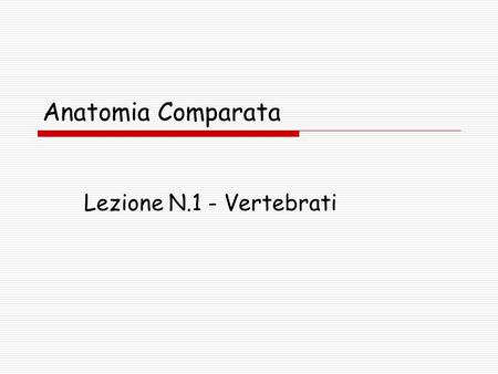 Anatomia Comparata Lezione N.1 - Vertebrati.