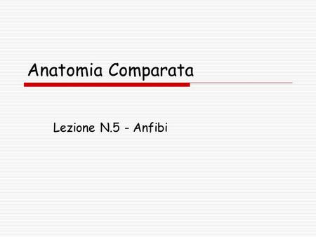 Anatomia Comparata Lezione N.5 - Anfibi.