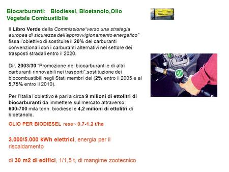 Biocarburanti: Biodiesel, Bioetanolo,Olio Vegetale Combustibile