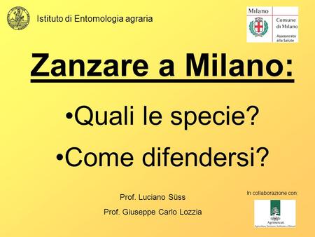 Zanzare a Milano: Quali le specie? Come difendersi?