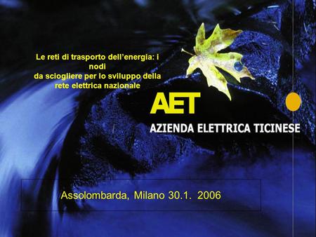 Le reti di trasporto dell’energia: i nodi da sciogliere per lo sviluppo della rete elettrica nazionale Assolombarda, Milano 30.1. 2006.