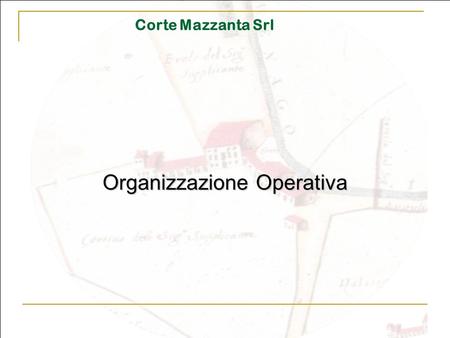 Organizzazione Operativa