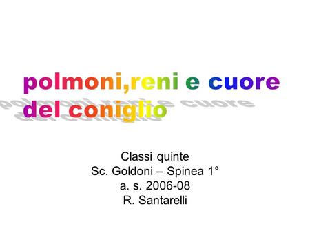 Classi quinte Sc. Goldoni – Spinea 1° a. s R. Santarelli