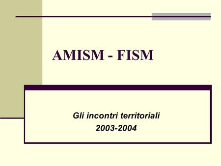 AMISM - FISM Gli incontri territoriali 2003-2004.