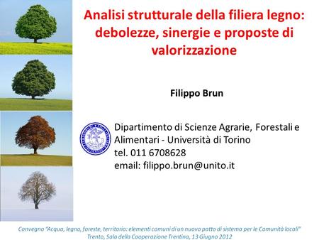Analisi strutturale della filiera legno: debolezze, sinergie e proposte di valorizzazione Filippo Brun Dipartimento di Scienze Agrarie, Forestali e Alimentari.
