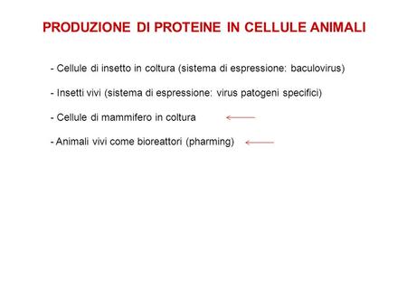 PRODUZIONE DI PROTEINE IN CELLULE ANIMALI
