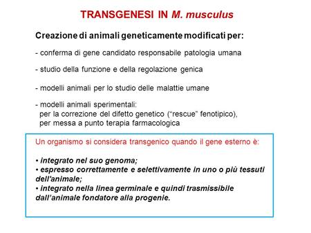 TRANSGENESI IN M. musculus
