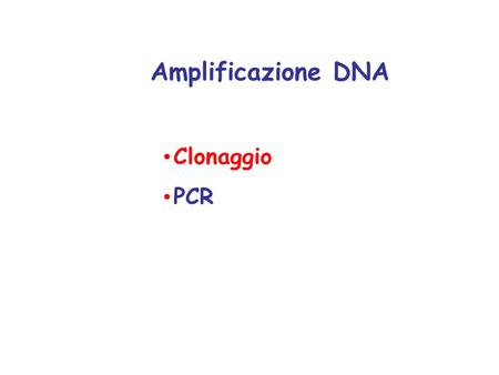 Amplificazione DNA Clonaggio PCR.