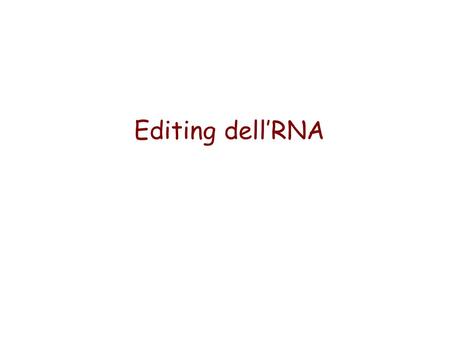 Editing dellRNA. Editing dellmRNA per la Apolipoproteina B umana.